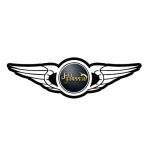 Fly Flipper Logo