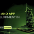Web And App Development In UAE Png